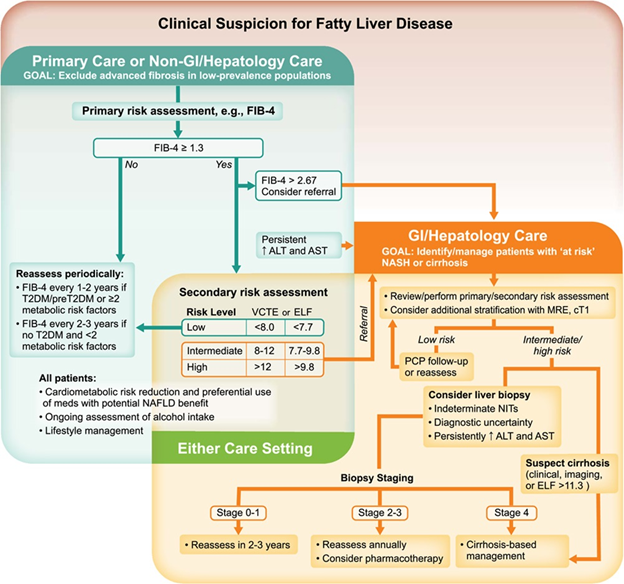 Spare Me the Jab Noninvasive Assessment of Patients with MASLD AASLD